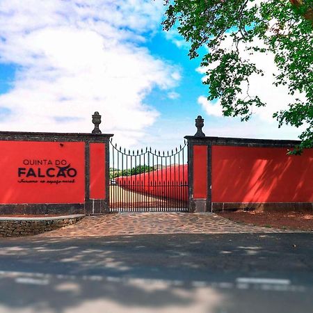 Quinta Do Falcao Almagreira  Dış mekan fotoğraf